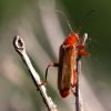 222740 – Photo : Vincent Derreumaux – France (34)