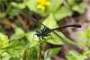 222323 – Photo : Benoit Guillon – Vietnam