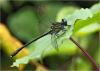 222319 – Photo : Benoit Guillon – Vietnam
