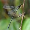 222914 – Photo : Benoit Guillon – Vietnam