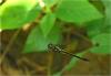 222107 – Photo : Benoit Guillon – Vietnam