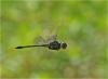 222106 – Photo : Benoit Guillon – Vietnam