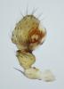 223491 – Photo : roy – France (85)