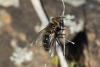 223958 – Photo : Bernard Saquet – France (12)