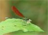 223621 – Photo : Benoit Guillon – Vietnam