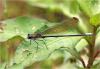 223620 – Photo : Benoit Guillon – Vietnam