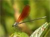 223944 – Photo : Benoit Guillon – Vietnam