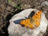 223674 – Photo : Lionel Casset – Albanie