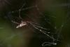 224950 – Photo : D. Martinez – Philippines