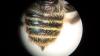 224771 – Photo : Damien Top – France (60)