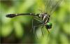 224494 – Photo : Benoit Guillon – Vietnam