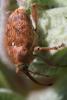 225900 – Photo : Estelle Spaeth – France (83)