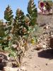 225091 – Photo : jpjepilou – Maroc