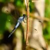 225730 – Photo : Noushka – Ouganda