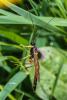 225843 – Photo : Daniel Ventard – France (71)
