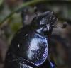 225598 – Photo : sofiane lemieuvre – France (74)