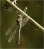 225299 – Photo : Benoit Guillon – Vietnam