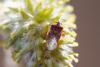 226559 – Photo : Pierre Duhem – France (95)