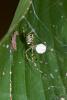 226408 – Photo : D. Martinez – Philippines