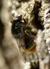 226104 – Photo : Olivier Pouvreau – France (86)