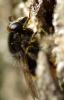 226105 – Photo : Olivier Pouvreau – France (86)