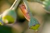 227573 – Photo : Pierre Duhem – France (75)