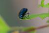 227504 – Photo : Pierre Duhem – France (91)