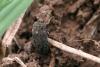 227961 – Photo : Arthropa - Benoit Martha – France (21)