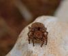227874 – Photo : Dominique Bataille – France (12)