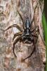 227366 – Photo : D. Martinez – Philippines