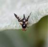 227483 – Photo : Valentin SENDAT – France (34)