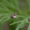 227493 – Photo : Valentin SENDAT – France (34)