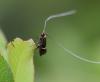227505 – Photo : Valentin SENDAT – France (34)