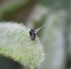 227410 – Photo : Valentin SENDAT – France (34)
