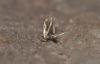 228314 – Photo : Matthias Colin – France (94)