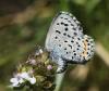 228721 – Photo : Bernard Ginesy – France (13)