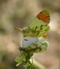 228813 – Photo : Bernard Ginesy – France (13)