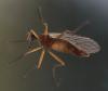 228357 – Photo : Arthropa - Benoit Martha – France (71)