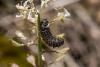 228781 – Photo : Johan Verstraeten – Belgique
