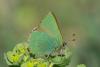 228413 – Photo : Bernard Saquet – France (66)