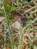 228440 – Photo : Pauline Bely – France (16)