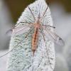 228110 – Photo : Valentin SENDAT – France (34)