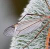 228111 – Photo : Valentin SENDAT – France (34)