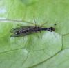 228449 – Photo : V. Sendat – France (34)
