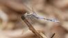 228526 – Photo : Greenlife – Sénégal