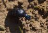 228470 – Photo : chrisoneye – France (01)