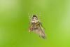 228400 – Photo : florent besson – France (18)