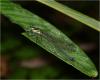228104 – Photo : Benoit Guillon – Vietnam