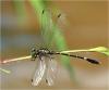 228880 – Photo : Benoit Guillon – Vietnam