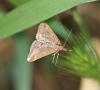 228049 – Photo : V Sendat – France (34)